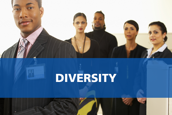 online-course-diversity-bundle